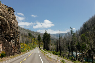 Beautiful road in the mountains among trees and flowers. Beautiful summer landscape with an asphalt highway, mountains, trees. Nature in Oregon in spring.