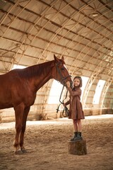 Stands on a stump. Cute little girl is with horse indoors