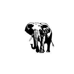 elephant black and white vector illustration