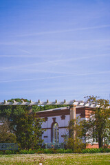 Frankfurt building garden