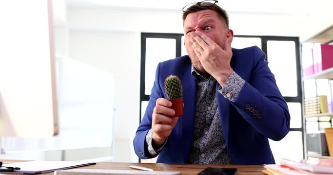 Businessman sniffing sharp cactus and pricking his nose 4k movie. Suffering from curiosity concept