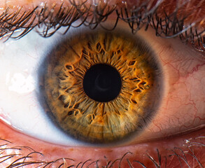 hazel eye macro