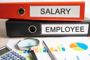 Salary, Employee. Binder data finance report business with graph analysis in office.