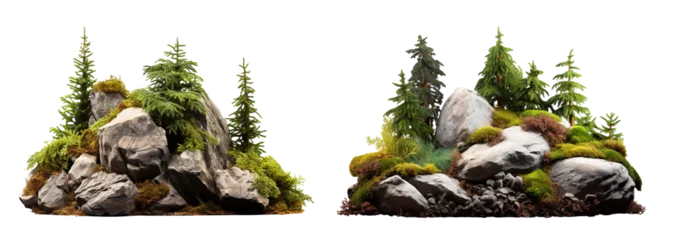 Papier Peint photo Herbe Forest landscape. Path between rocks and firtrees,  isolated on transparent background