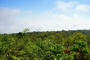Shenandoah National Park landscape	
