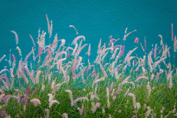 Fototapeta na wymiar Grasses and fountain at the Denver Botanic Garden