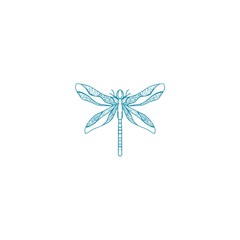 Dragonfly with detailed wings isolated on white background