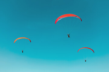 Paraglider in the sky. The sportsman flying on a paraglider.
