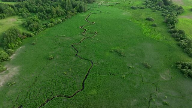 Zigzag River in wild. Water supply. Small river in field and forest in swamp, Aerial view. Wildlife Refuge Wetland Restoration. Green Nature Scenery. River in Wildlife. Freshwater Lakes and Ecosystem.