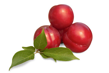 Several red, ripe plums and green leaves isolated on a transparent background.