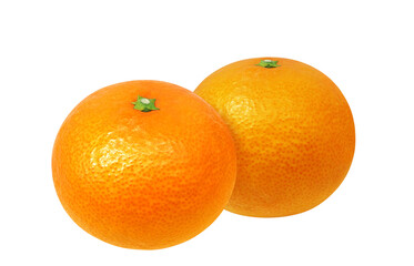 清見オレンジのイラスト リアル