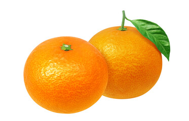 清見オレンジのイラスト リアル