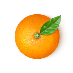 清見オレンジのイラスト リアル