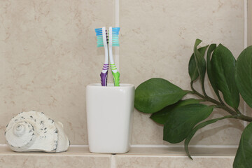 Toothbrush in plastic holder in bathroom. Nylon bristles and plastic handles.