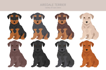 Airedale terrier puppies all colours clipart. Different coat colors set