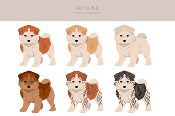 Akita Inu all colours puppy clipart. Different coat colors set
