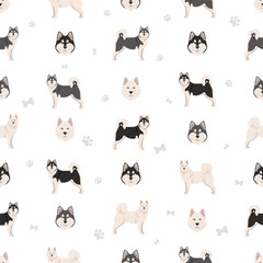 Alaskan malamute all colours seamless pattern. Different coat colors and poses set