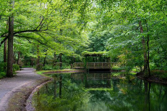 A traditional wooden bridge in Gibb Garden. The photos and green environment promotes serenity, quietness, and mental peace. The water is so still that we can see its reflection in the pond.