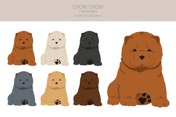 Chow chow longhaired puppies variety clipart. Different poses, coat colors set