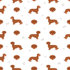 Dachshund wire haired seamless pattern. Different poses, coat colors set