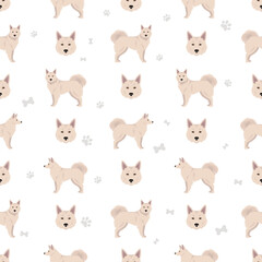 Danish Spitz seamless pattern. Different poses, coat colors set