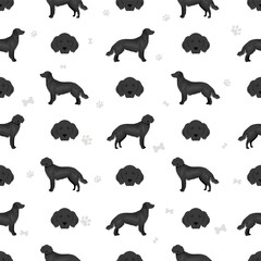 Flat coated retriever seamless pattern. Different poses, coat colors set