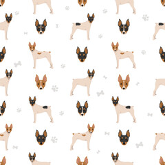 Fox Terrier miniature seamless pattern. Different coat colors set