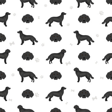 Flat coated retriever seamless pattern. Different poses, coat colors set