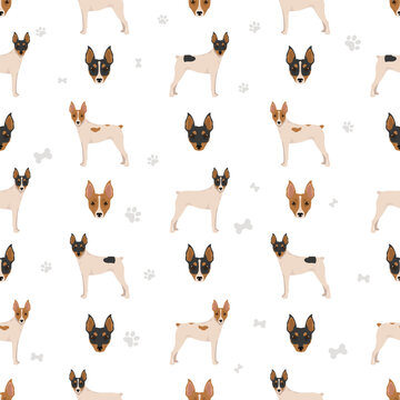 Fox Terrier miniature seamless pattern. Different coat colors set