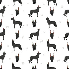 Great dane seamless pattern. Different variaties of coat color dog set