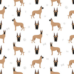 Great dane seamless pattern. Different variaties of coat color dog set