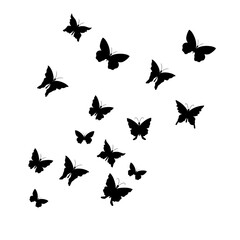 Plakat Flying Butterfly Illustration