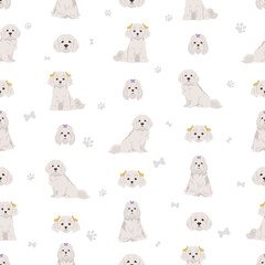 Maltese dogs in different poses seamless pattern - obrazy, fototapety, plakaty