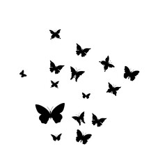 Flying Butterfly Illustration