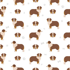 Miniature american shepherd seamless pattern. Different poses, coat colors set