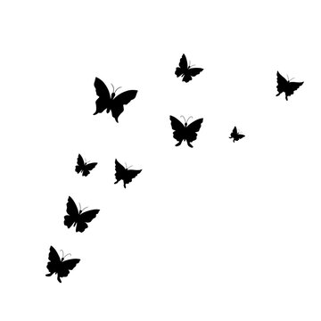 Flying Butterfly Illustration
