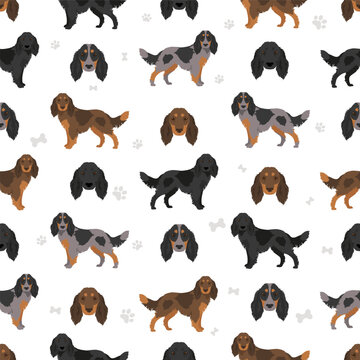 Picardy Spaniel seamless pattern All coat colors se