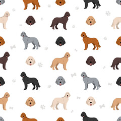 Standard poodle seamless pattern. Different poses, coat colors set