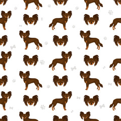 Russian toy terrier longhaired seamless pattern. Different poses, coat colors set