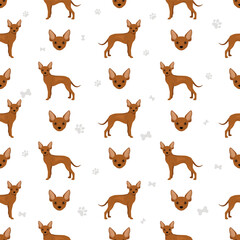Fototapeta premium Russian toy terrier shorthaired seamless pattern. Different poses, coat colors set