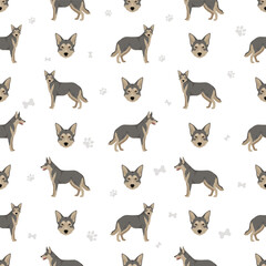 Saarloos Wolfdog seamless pattern. All coat colors set.  All dog breeds characteristics infographic