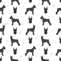 Schhnauzer Giant seamless pattern. Different poses, coat colors set