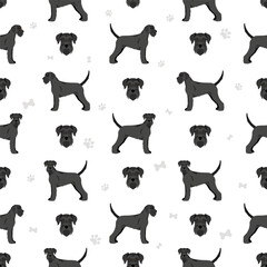 Schhnauzer Giant seamless pattern. Different poses, coat colors set