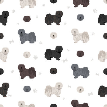 Puli seamless pattern. Different poses, coat colors set