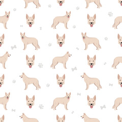 Fototapeta premium White Shepherd seamless pattern. All coat colors set. All dog breeds characteristics infographic