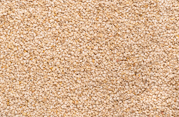 Fototapeta premium White sesame seeds, surface, from above. Sesamum indicum, also called benne. Common ingredient in cuisines around the world, with a nutty flavor, and with one of the highest oil content of any seed.