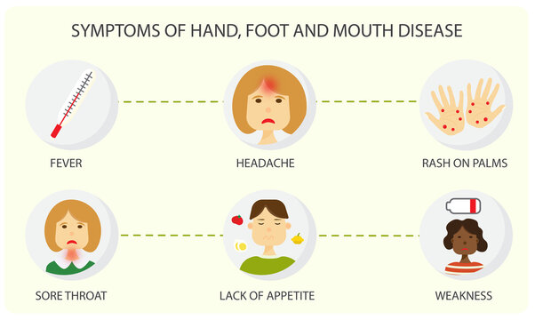 Hand, foot, and mouth disease (HFMD) symptoms fever headache sore throat rash on palms lack of appetite weakness illustration poster