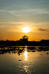 Sonnenuntergang im Pantanal 
