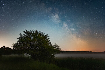 Milky way over the meadow