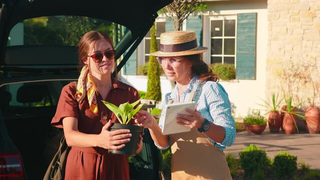 A buyer and a seller examine a pot with seedlings in a greenhouse. A saleswoman wearing an apron advises a buyer with a tablet in her hands. The concept of growing and caring for plants.